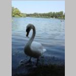 2013-07-07 - 11-55-48.JPG